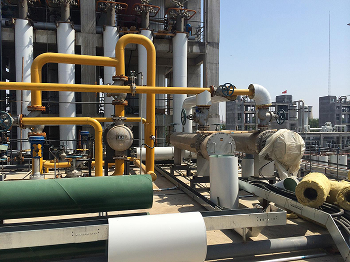 �����ֳ�